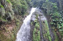 Dark View Falls - St. Vincent