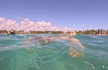 Explore Akumal: Private transportation and Turtle Swim Adventure 