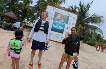 Private Tour: Turtle Swim & Open Cenote