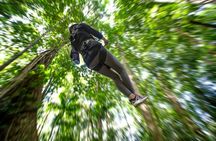 St. Lucia Zip line, Aerial Tram and Hiking tour Ultimate 3