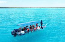 Adventures of the Lost Atlantis Bimini Road