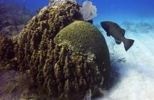 Adventures of the Lost Atlantis Bimini Road