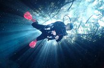 Discover Scuba Diving at Casa Cenote No Certification Needed
