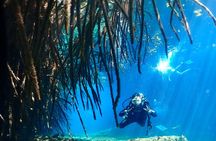 Discover Scuba Diving at Casa Cenote No Certification Needed