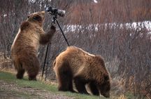 Best of Yellowstone National Park **Private** Tour
