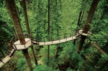 Vancouver Tour: Stanley Park, Granville Island & Capilano Bridge