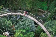 Vancouver Tour: Stanley Park, Granville Island & Capilano Bridge