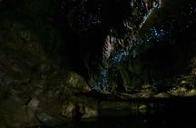 Kawiti Family Glowworm Caves Guided Tour in Bay of Islands