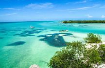 Holbox Island Tour with Pasion Island and Punta Mosquito
