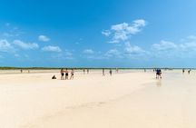 Holbox Island Tour with Pasion Island and Punta Mosquito