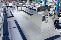 3 Hour Keewaydin Island Shelling Adventure