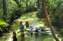 Rainbow Springs Clear Kayak and Paddleboard Rentals