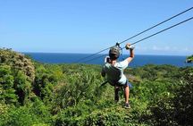 City Tour Monkeys and Sloths with Zipline
