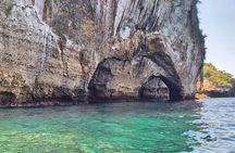 3 hours private snorkeling tour in Misaloya, Puerto Vallarta