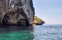3 hours private snorkeling tour in Misaloya, Puerto Vallarta