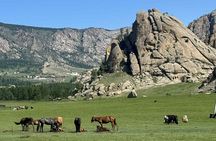 Meet the Mongolia's Yak Herders: All inclusive trip near UB