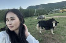 Meet the Mongolia's Yak Herders: All inclusive trip near UB