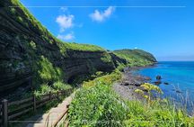 Jeju Island SouthWest UNESCO Day Tour