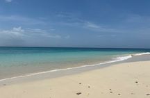 Perfect Island + Amazing snorkeling with turtles near Panama City