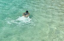 Perfect Island + Amazing snorkeling with turtles near Panama City