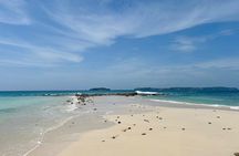 Perfect Island + Amazing snorkeling with turtles near Panama City