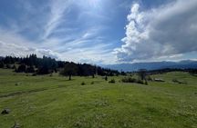 Jeep Tour in Dabadzveli mountain: Off-Road escape from Borjomi