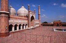 Sight and Sounds of Old Delhi
