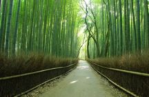 Kiyomizu dera Fushimi Inari and Nara Park Day Tour