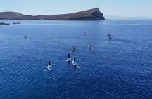 Himarë Sunset Kayak and SUP Tour to Filikuri Beach