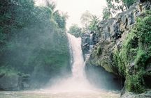 Best Day Tour - #1 Ubud Top Attraction
