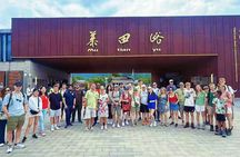 Temple of Heaven and Mutianyu Great Wall Beijing Day Bus Tour