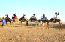 Marrakech: Agafay Desert Sunset & Camel Rides and Dinner Show