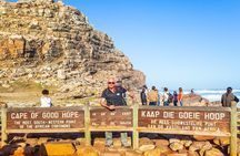 Half Day Cape Point and Boulders Beach Penguin Group Tour