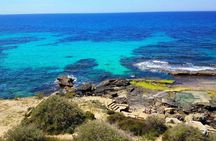 Afternoon Snorkel & Paddle Surf Experience in a Secret Spot