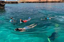 Private Daymaniyat Islands Snorkeling Trip up to 15 Passengers