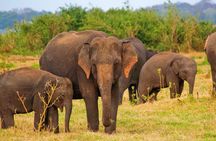 Private Tour for 3 Days (Car or Van)