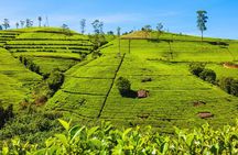 Private Tour for 3 Days (Car or Van)