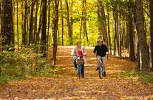 Guided Bike Tour of Mackinac Island with Scenic Views 