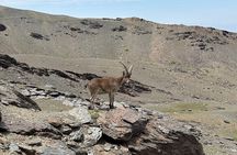 Hiking experience in the High Sierra Nevada National Park 