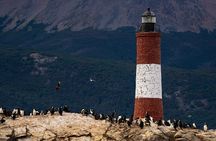 Beagle Channel & exclusive experience at the end of the world