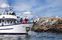 Beagle Channel & exclusive experience at the end of the world