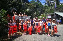 Peninsula of Life Natural Experience with Humpback Whales