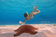 Star and Turtle Sanctuary Snorkeling Tour in Cozumel