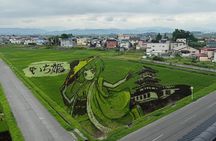 Rice Paddy Art and Apple Picking Full day Private Tour