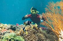 Nha Trang Mun Island Snorkeling, Fishing and Mini Beach Tour