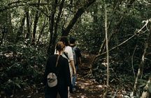 Rainforest Trekking, Tamblingan Lake Canoeing and Best Waterfall