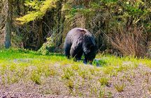 Lake Louise and Moraine Lake Exclusive Evening Private Tour 
