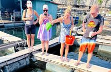 Ha Noi 3D2N Ninh Binh and Lan Ha Bay Adventure
