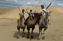 From UB: 2 Days Private Tour to Kharkhorin and Mini Semi Gobi