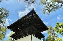 Northern Kyoto Heritage Tour Morning and Noon Option Available